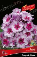 Флокс метельчатый Старый маяк 