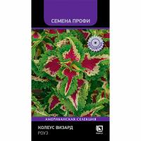Поиск Колеус Визард Роуз 10шт 