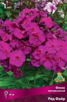 Флокс метельчатый Ред Файр (I) 1 шт