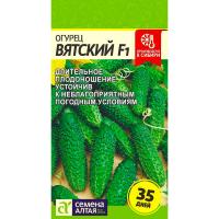 Огурец Вятский F1 6шт