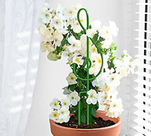 Шпалера для комнатных растений Скрипичный ключ 47*11см проволока  