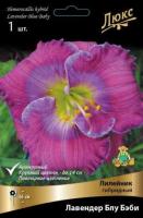 Лилейник гибридный Лавендер Блу Бэби (I) 1 шт