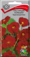 Настурция Коричневый блик большая 1г