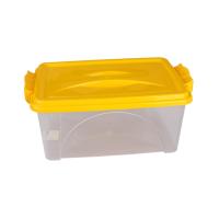 Контейнер для хранения 4,5л прямоугольный с ручками