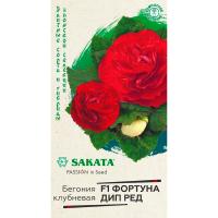 Бегония Фортуна Дип ред 4шт