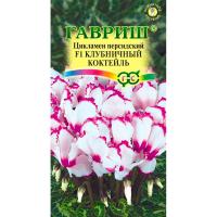 Гавриш Цикламен персидский Клубничный коктель ароматный 3шт