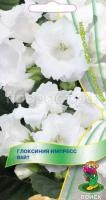 Глоксиния Импресс Вайт