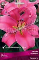 Лилия ОТ-Гибрид Импрато (14-16) 2шт 736205