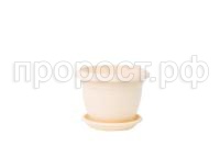 NK2_1-900x600 NK2_1-900x600