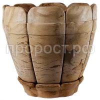 120 - натур 120 - натур