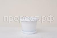 Image00007-900x600 Image00007-900x600