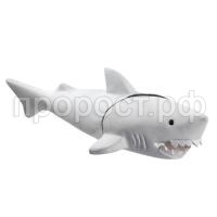 Грот на магните акула