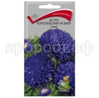 Астра-королевский-размер-Синяя-0,1г-Поиск Астра-королевский-размер-Синяя-0,1г-Поиск