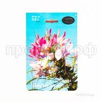 Клеома Змей горыныч 200,3 Каприс Клеома Змей горыныч 200,3 Каприс