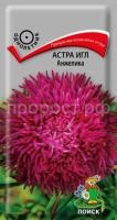 Астра игл Анжелика Астра игл Анжелика