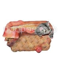 котенок в лук котенок в лук