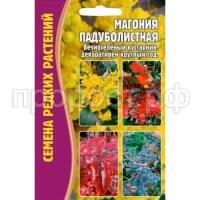 Магония Падуболистная 10 шт Магония Падуболистная 10 шт