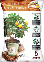 цитр 5