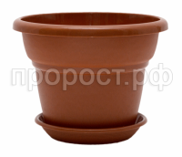 Милано (2) Милано (2)