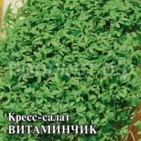 Кресс-салат Витаминчик 100 г
