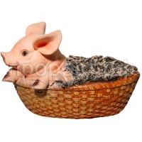 поросенок в большом корыте