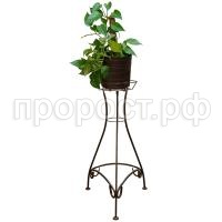 П195716_0 П195716_0