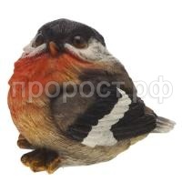 Дикие птицы_html_45997504fcc96ad2 Дикие птицы_html_45997504fcc96ad2