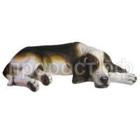 ральф охотн ральф охотн