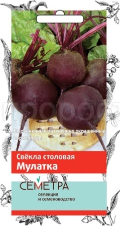 Свекла Мулатка 3г